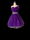 Retro Ball Gown One Shoulder Grape Tulle Formal Homecoming Dresses 18th Birthday Outfits Graduation Dress Short Mini Hoco Dresses HZ1121